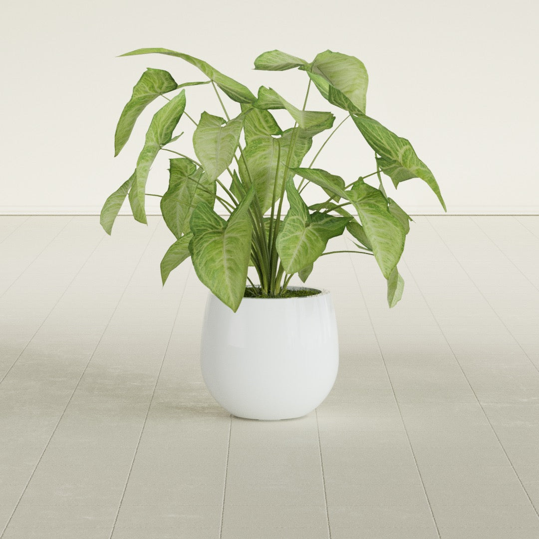 Westfield - 10in diam. x 9in - Matte White - Matte White,10 in diam. x 9 in H