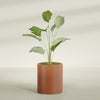 Rio Grande Medium Round Fiberglass Planter - 18 in x 18 in x 20 in - Matte Terracotta - Matte Terracotta,18 in x 18 in x 20 in