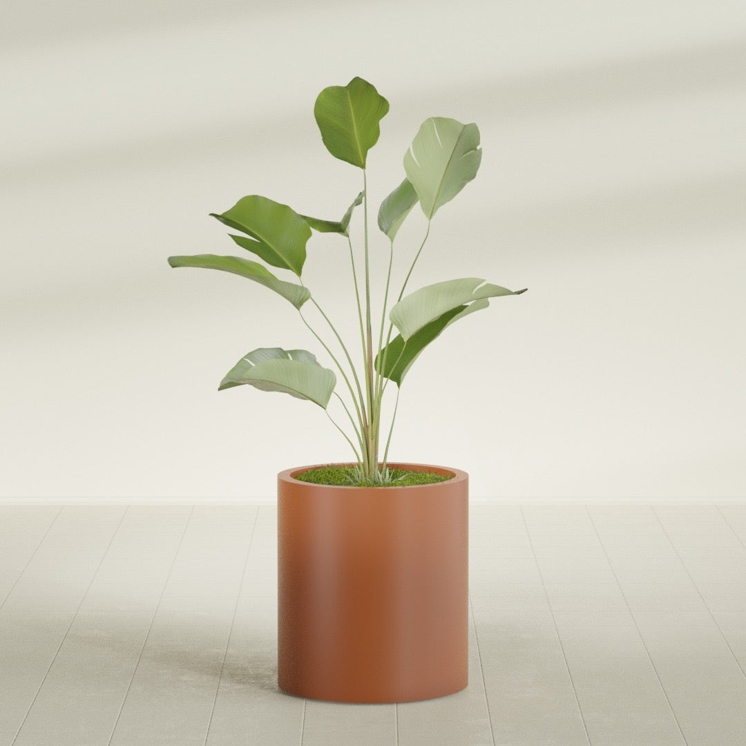 Rio Grande Medium Round Fiberglass Planter - 18 in x 18 in x 20 in - Matte Terracotta - Matte Terracotta,18 in x 18 in x 20 in