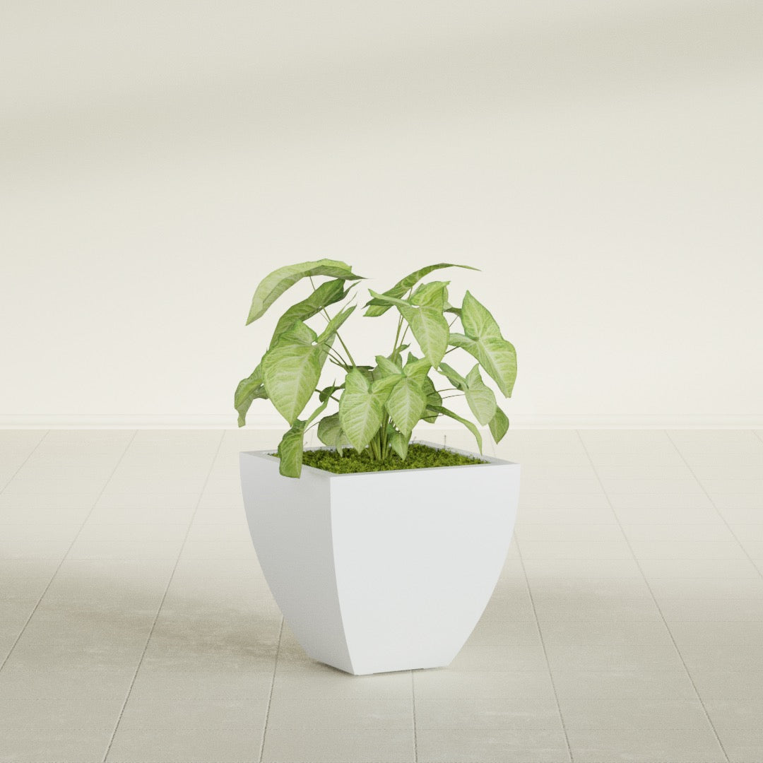 Lima Small Tapered Square Fiberglass Planter - 16 in x 16 in x 16 in - Gloss White - Gloss White,16 in x 16 in x 16 in