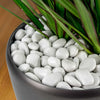 PolyPebbles - White - Bag of Small Rocks (2.4lbs) - Black,Small Pebbles,Single 2.4 lb bag