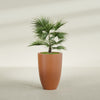 Brannan Large Round Fiberglass Planter - 24 in x 24 in x 35 in - Matte Terracotta - Matte Terracotta,24 in x 24 in x 35 in