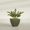 Lima Medium Tapered Square Fiberglass Planter - 20 in x 20 in x 20 in - Matte Bronze - Matte Bronze,20 in x 20 in x 20 in