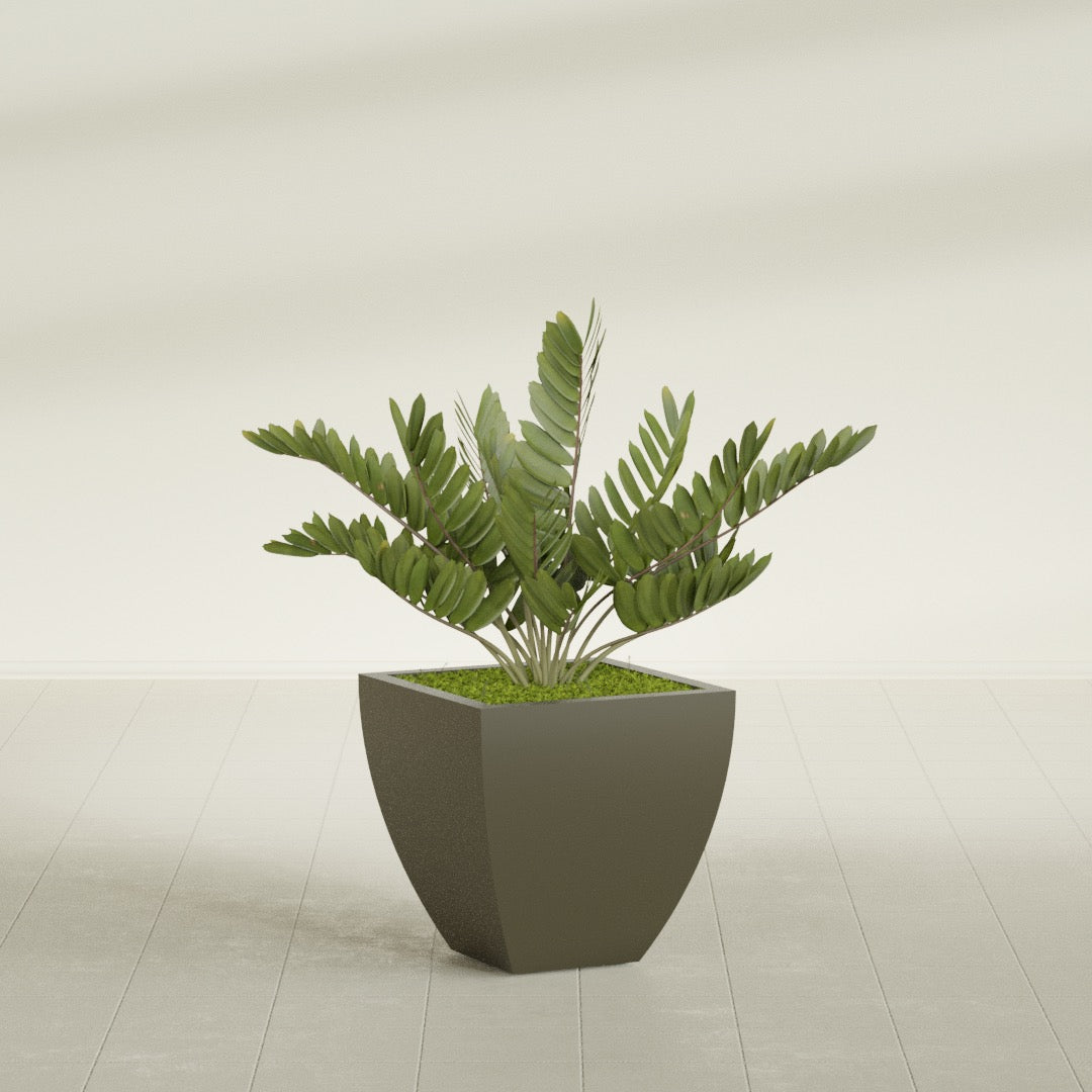 Lima Medium Tapered Square Fiberglass Planter - 20 in x 20 in x 20 in - Matte Bronze - Matte Bronze,20 in x 20 in x 20 in