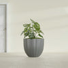 Santa Barbara Medium Round Fiberglass Planter - 23 in x 23 in x 20.3 in - Metallic Gunmetal - Metallic Gunmetal,23 in x 23 in x 20 in