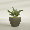 Lima Medium Tapered Square Fiberglass Planter - 24 in x 24 in x 24 in - Matte Bronze - Matte Bronze,24 in x 24 in x 24 in