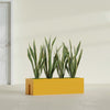 Tiergarden Large Long Over The Railing Rectangle Fiberglass Planter - 36 in x 12 in x 10 in - Gloss Saffron - Gloss Saffron,36 in x 12 in x 10 in