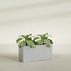 Miami Large Narrow Rectangle Fiberglass Planter - 36 in x 12 in x 18 in - Metallic Silver - Metallic Silver,36 in x 12 in x 18 in