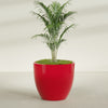Wannsee Extra Large Round Fiberglass Planter - 50 in x 50 in x 44 in - Gloss Red - Gloss Red,50 in x 50 in x 44 in