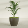 Wannsee Large Round Fiberglass Planter - 39 in x 39 in x 34 in - Matte Bronze - Matte Bronze,39 in x 39 in x 34 in