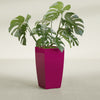Toulan Large Tall Tapered Square Fiberglass Planter - 16 in x 16 in x 30 in - Gloss Eggplant - Gloss Eggplant,16 in x 16 in x 30 in