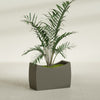 Seoul Large Curved Abstract Fiberglass Planter - 36 in x 16 in x 24 in - Matte Bronze - Matte Bronze,36 in x 16 in x 24 in