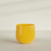 Westfield - 34in diam. x 32in - Gloss Saffron - Gloss Saffron,34 in diam. x 32 in H