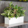 Tabletop Rectangle - 24in x 7in x 7in