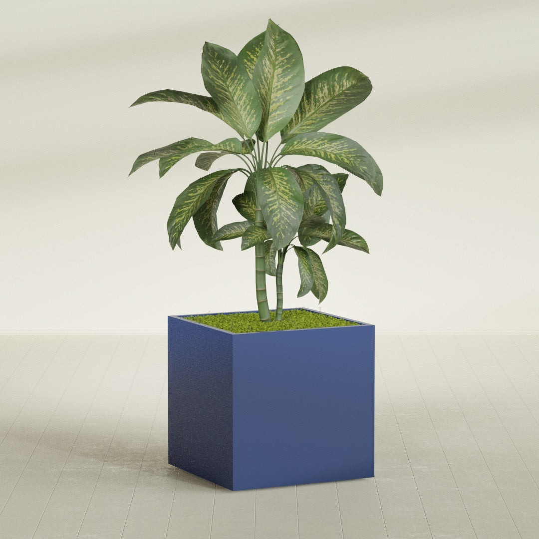 Montroy Large Cube Square Fiberglass Planter - 36 in x 36 in x 36 in - Matte Cobalt Blue - Matte Cobalt Blue,36 in x 36 in x 36 in