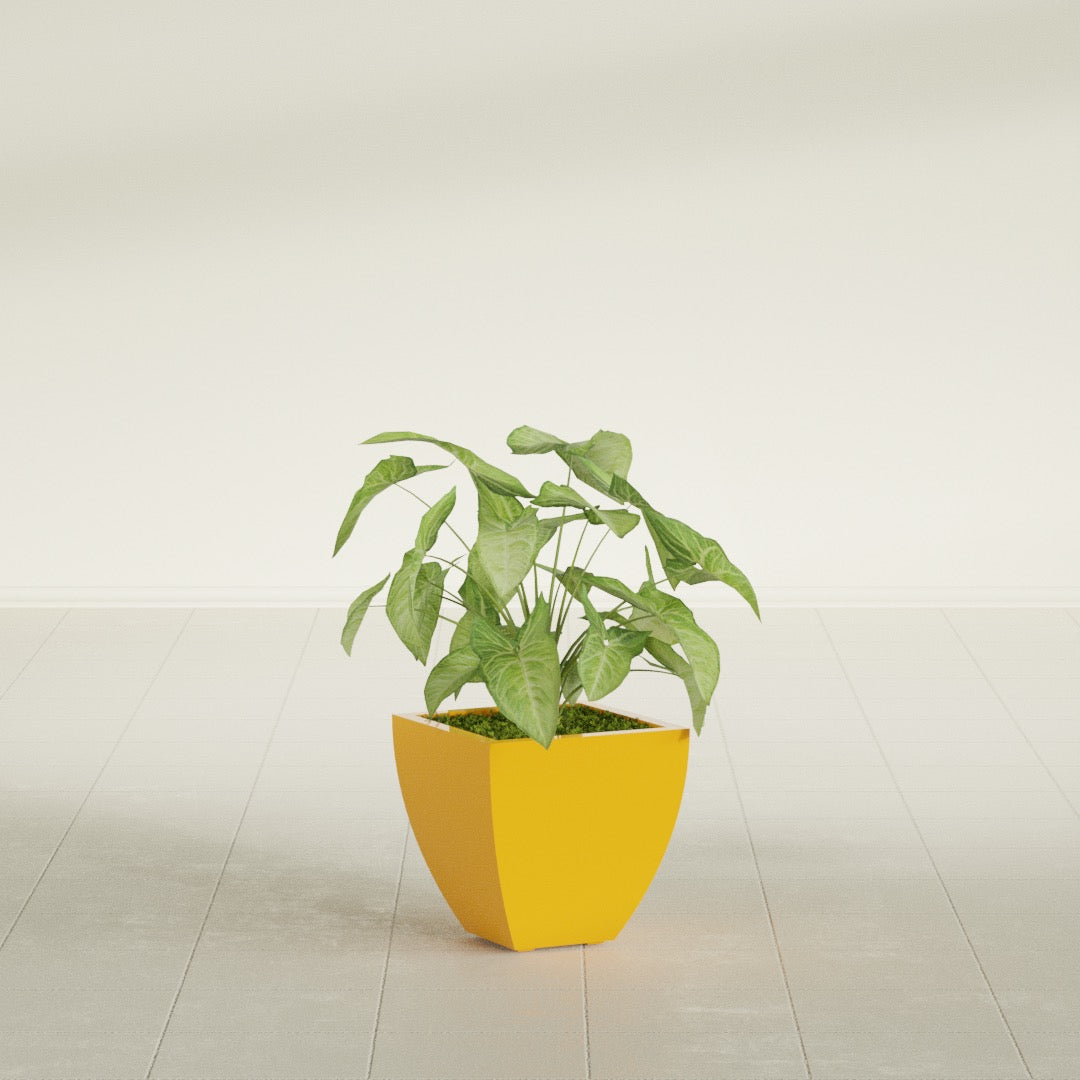 Lima Small Tapered Square Fiberglass Planter - 12 in x 12 in x 12 in - Gloss Saffron - Gloss Saffron,12 in x 12 in x 12 in