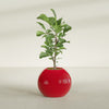 Globe Medium Sphere Fiberglass Planter - 24 in x 24 in x 19 in - Gloss Red - Gloss Red,24 in x 24 in x 20 in