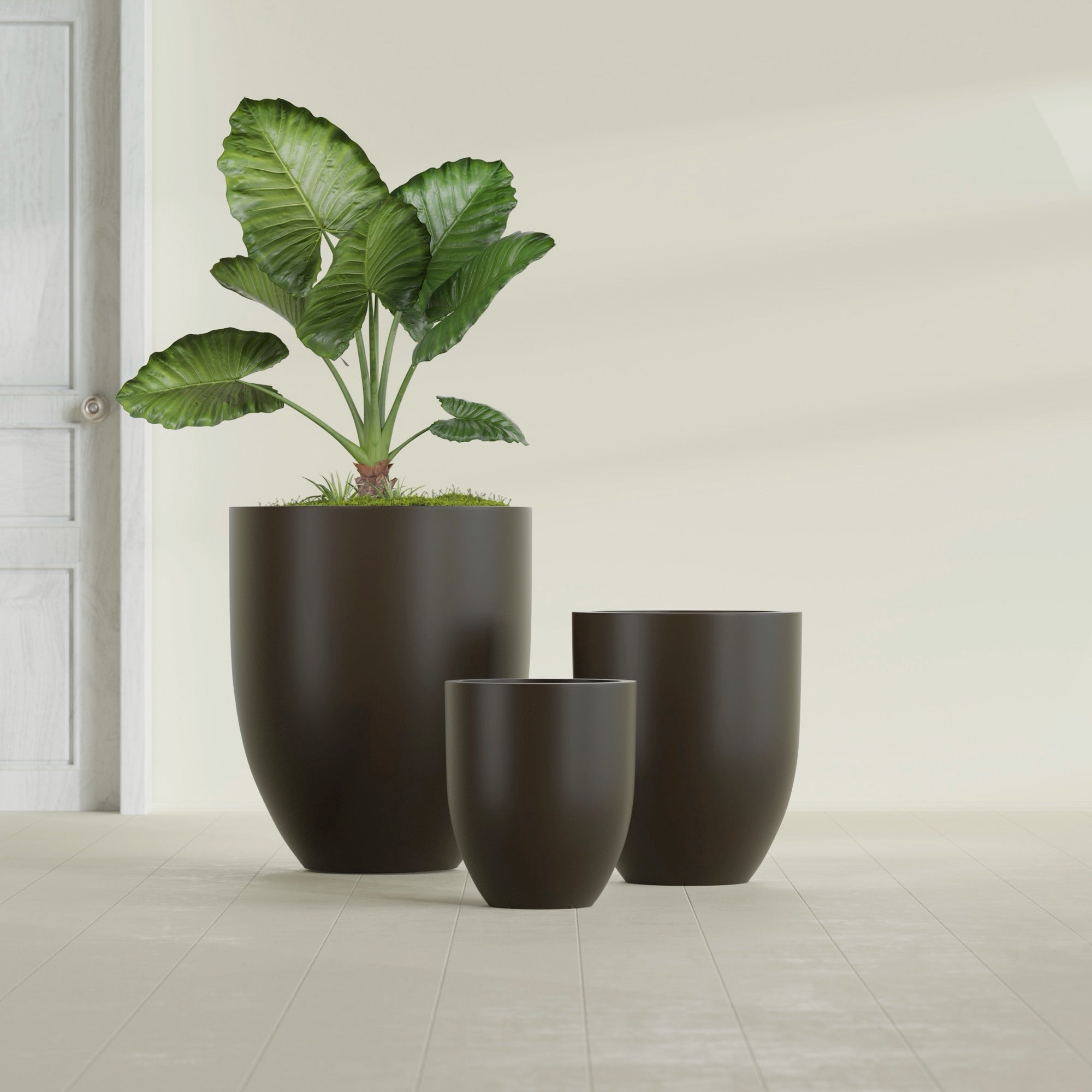 Valencia Medium Round Fiberglass Planter - 20 in x 20 in x 23 in - Matte Brown - Matte Brown,20 in x 20 in x 23 in
