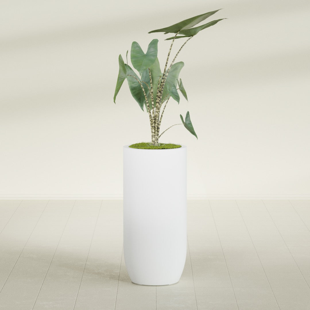 Saint Tropez Large Tall Round Fiberglass Planter - 20 in x 20 in x 43 in - Gloss White - Gloss White,20 in x 20 in x 43 in