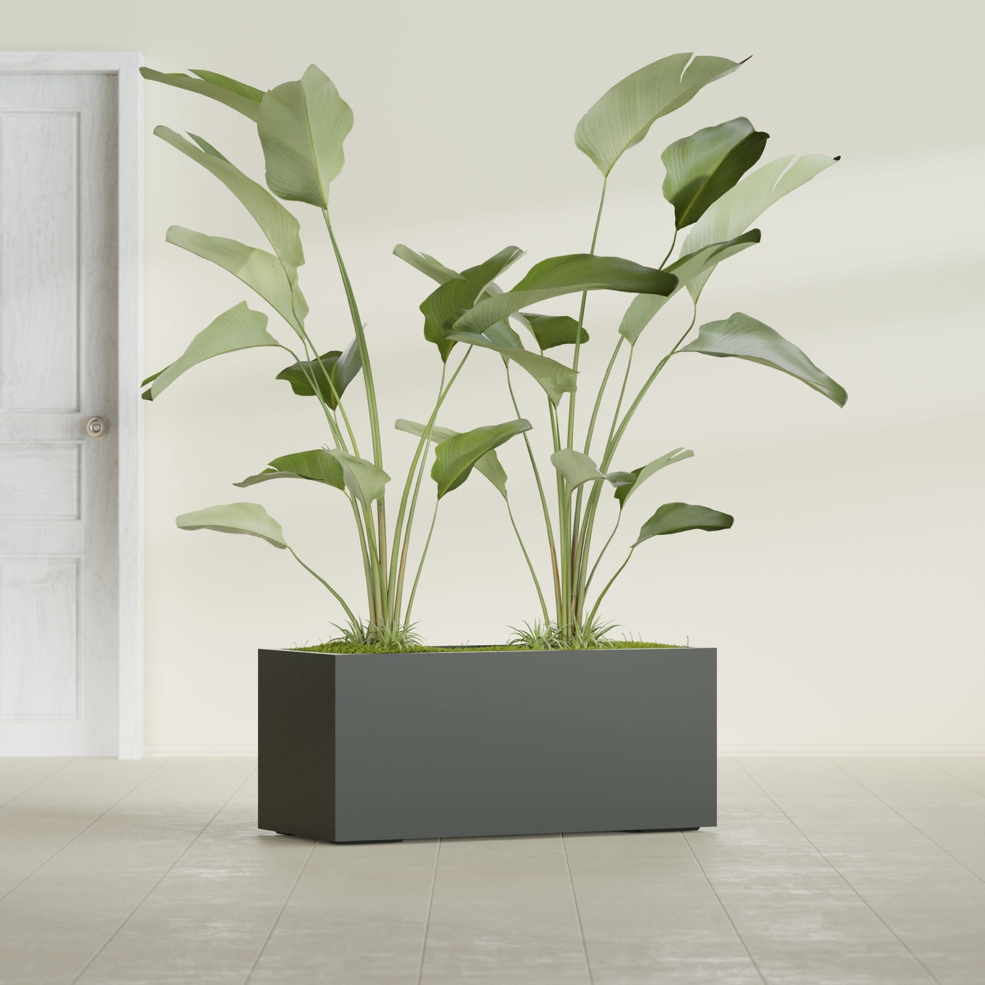 Badalona Large Tall Rectangle Fiberglass Planter - 39 in x 17 in x 17 in - Matte Charcoal - Matte Charcoal,39 in x 17 in x 17 in