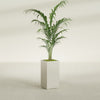 Potsdam Large Tall Rectangle Fiberglass Planter - 16 in x 16 in x 32 in - Satin Beige - Satin Beige,16 in x 16 in x 32 in