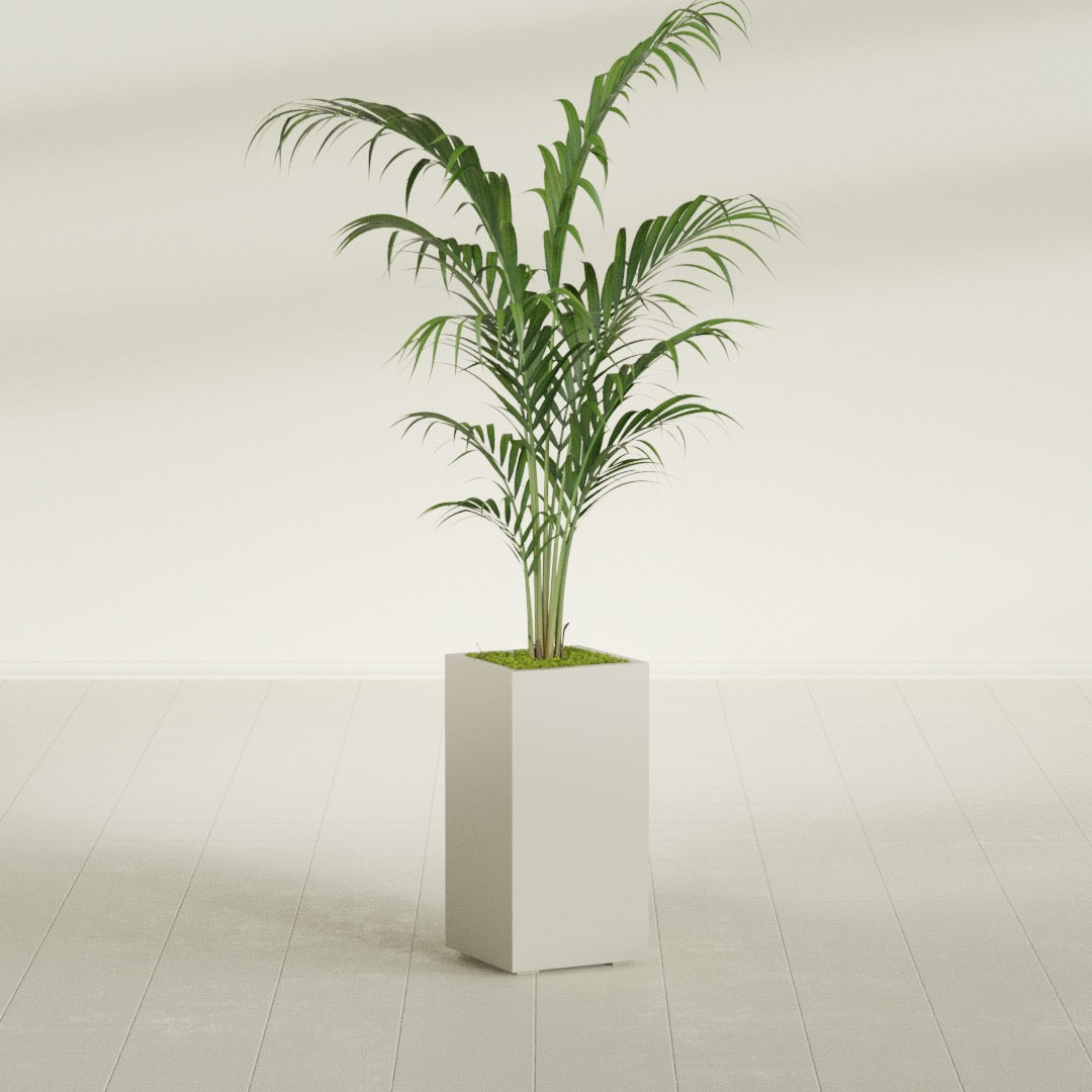 Potsdam Large Tall Rectangle Fiberglass Planter - 16 in x 16 in x 32 in - Satin Beige - Satin Beige,16 in x 16 in x 32 in