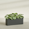 Miami Extra Large Narrow Rectangle Fiberglass Planter - 48 in x 12 in x 18 in - Matte Charcoal - Matte Charcoal,48 in x 12 in x 18 in