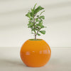 Globe Large Sphere Fiberglass Planter - 36 in x 36 in x 30 in - Gloss Tangerine - Gloss Tangerine,36 in x 36 in x 30 in