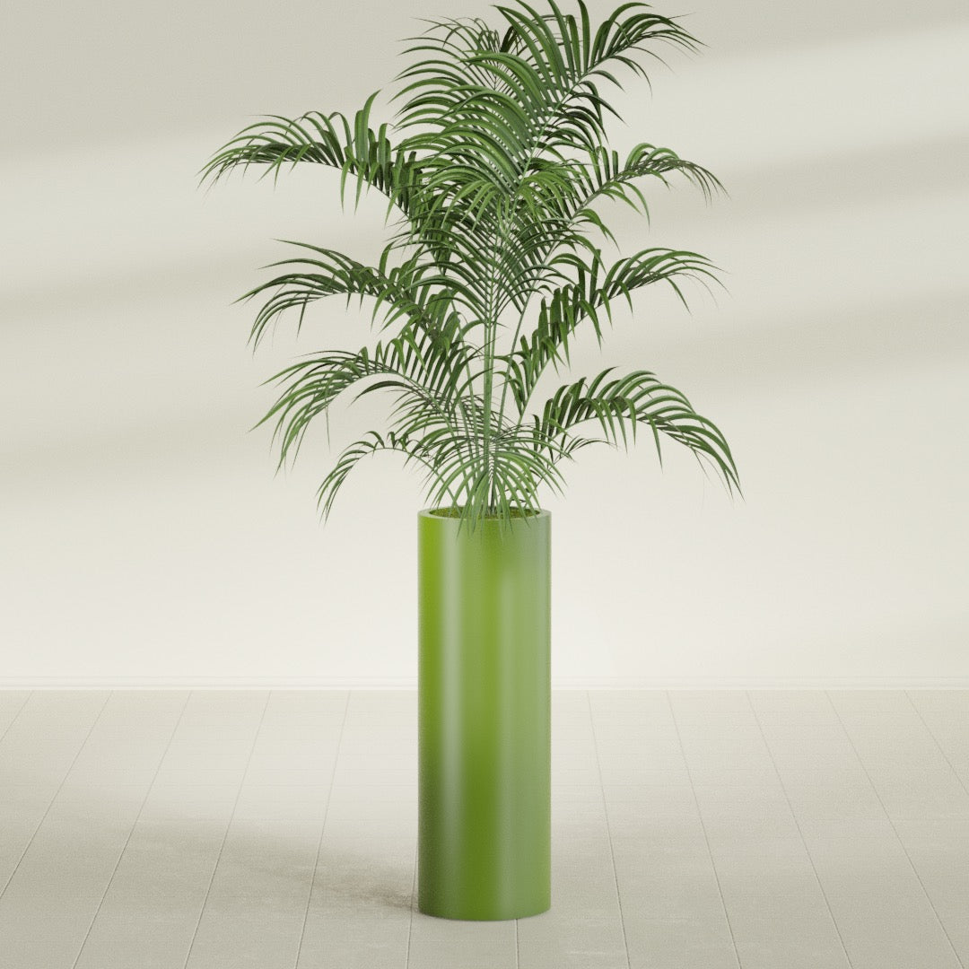 Corry Large Tall Cylinder Fiberglass Planter - 12 in x 12 in x 36 in - Satin Green - Satin Green,30 in x 30 in x 32 in