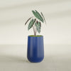 Tall Hayden Medium Round Fiberglass Planter - 12 in x 12 in x 20 in - Matte Cobalt Blue - Matte Cobalt Blue,12 in x 12 in x 20 in