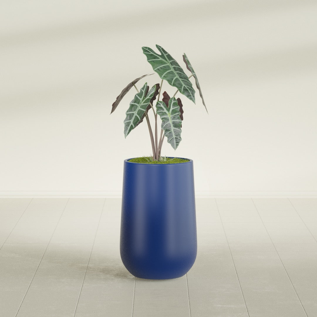 Tall Hayden Medium Round Fiberglass Planter - 12 in x 12 in x 20 in - Matte Cobalt Blue - Matte Cobalt Blue,12 in x 12 in x 20 in