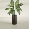 Lisbon Medium Round Fiberglass Planter - 14 in x 14 in x 25 in - Matte Brown - Matte Brown,14 in x 14 in x 25 in