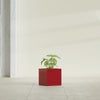 Monaco Square - 7in x 7in x 7 - Gloss Red - Gloss Red,7 in x 7 in x 7 in