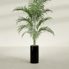 Corry Medium Tall Cylinder Fiberglass Planter - 10 in x 10 in x 20 in - Gloss Black - Gloss Black,10 in x 10 in x 20 in