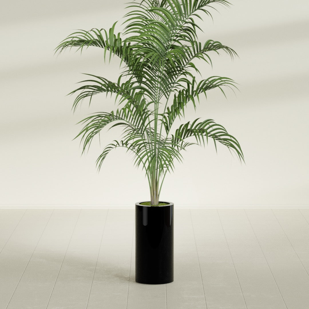 Corry Medium Tall Cylinder Fiberglass Planter - 10 in x 10 in x 20 in - Gloss Black - Gloss Black,10 in x 10 in x 20 in