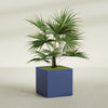 Montroy Large Cube Square Fiberglass Planter - 32 in x 32 in x 32 in - Matte Cobalt Blue - Matte Cobalt Blue,32 in x 32 in x 32 in