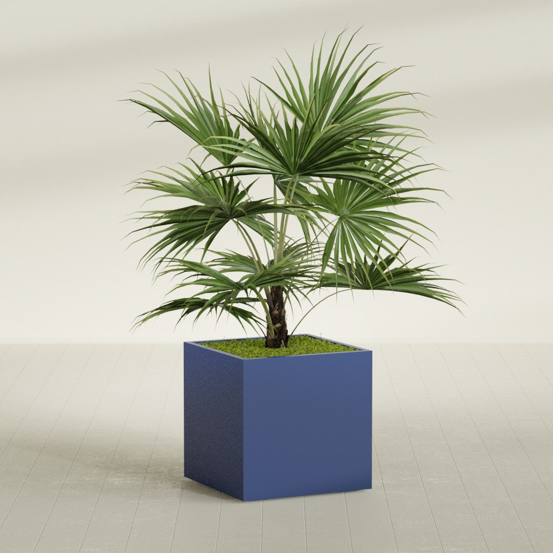 Montroy Large Cube Square Fiberglass Planter - 32 in x 32 in x 32 in - Matte Cobalt Blue - Matte Cobalt Blue,32 in x 32 in x 32 in