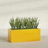 Granada Extra Large Long Rectangle Fiberglass Planter - 60 in x 24 in x 24 in - Gloss Saffron - Gloss Saffron,60 in x 24 in x 24 in
