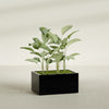 Torino Large Wide Rectangle Fiberglass Planter - 36 in x 24 in x 18 in - Gloss Black - Gloss Black,36 in x 24 in x 18 in