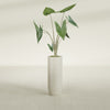 Saint Tropez Large Tall Round Fiberglass Planter - 12 in x 12 in x 32 in - Satin Beige - Satin Beige,12 in x 12 in x 32 in