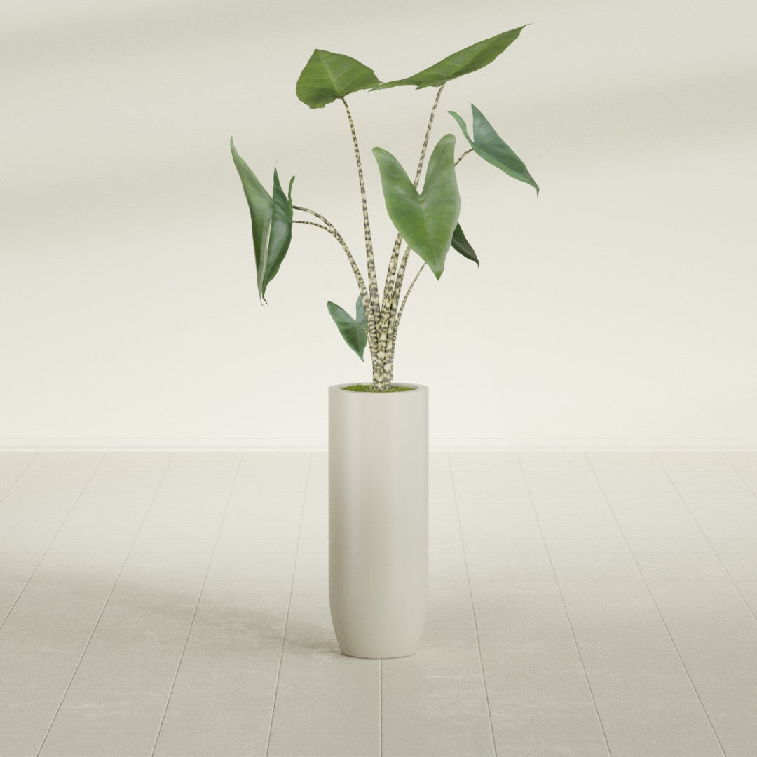 Saint Tropez Large Tall Round Fiberglass Planter - 12 in x 12 in x 32 in - Satin Beige - Satin Beige,12 in x 12 in x 32 in