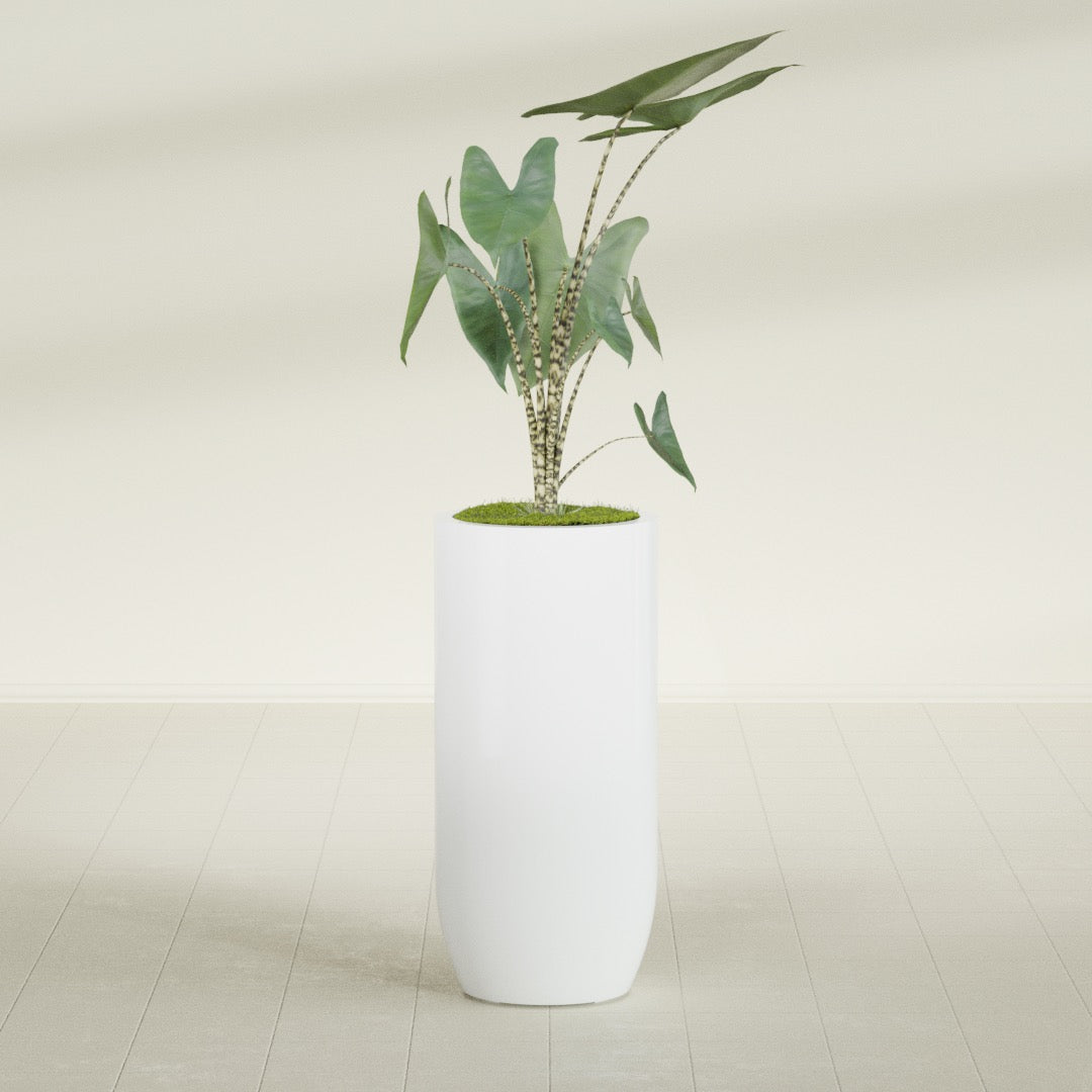 Saint Tropez Large Tall Round Fiberglass Planter - 20 in x 20 in x 43 in - Matte White - Matte White,20 in x 20 in x 43 in