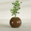 Globe Large Sphere Fiberglass Planter - 30 in x 30 in x 24 in - Metallic Bronze - Metallic Bronze,30 in x 30 in x 24 in