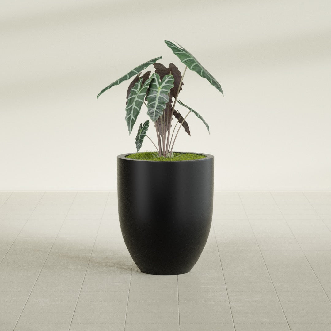 Valencia Medium Round Fiberglass Planter - 20 in x 20 in x 23 in - Matte Black - Matte Black,20 in x 20 in x 23 in