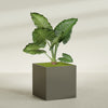 Montroy Extra Large Cube Square Fiberglass Planter - 48 in x 48 in x 48 in - Matte Bronze - Matte Bronze,48 in x 48 in x 48 in