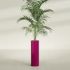 Corry Large Tall Cylinder Fiberglass Planter - 10 in x 10 in x 30 in - Gloss Eggplant - Gloss Eggplant,10 in x 10 in x 30 in