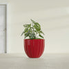 Santa Barbara Medium Round Fiberglass Planter - 23 in x 23 in x 20.3 in - Gloss Red - Gloss Red,23 in x 23 in x 20 in