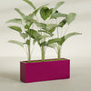 Tolga Extra Large Long Rectangle Fiberglass Planter - 60 in x 16 in x 24 in - Gloss Eggplant - Gloss Eggplant,60 in x 16 in x 24 in