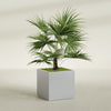 Montroy Large Cube Square Fiberglass Planter - 32 in x 32 in x 32 in - Metallic Silver - Metallic Silver,32 in x 32 in x 32 in