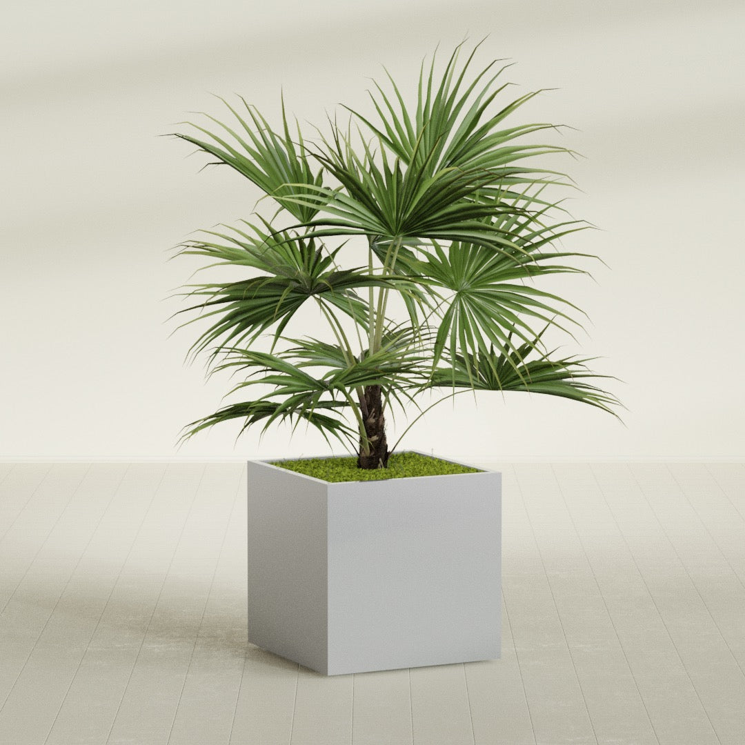 Montroy Large Cube Square Fiberglass Planter - 32 in x 32 in x 32 in - Metallic Silver - Metallic Silver,32 in x 32 in x 32 in